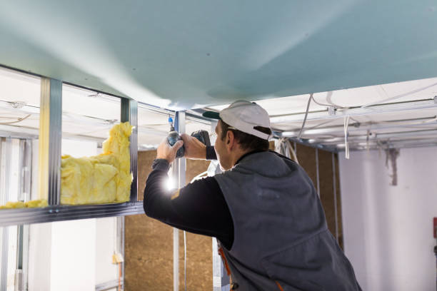 Best Local Insulation Services  in Hebron, NE