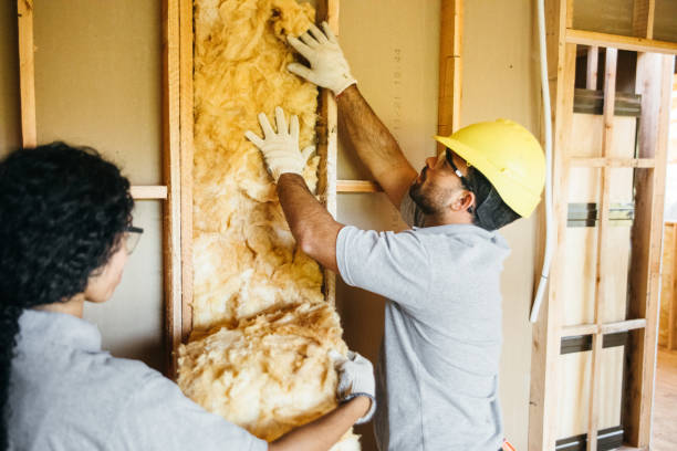Best Cellulose Insulation  in Hebron, NE