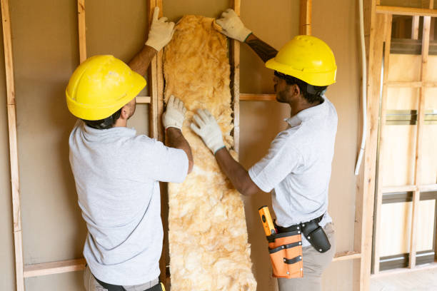Best Home Insulation Services  in Hebron, NE
