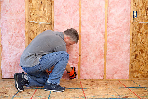 Best Affordable Insulation Services  in Hebron, NE