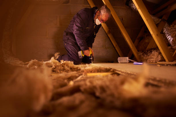 Best Insulation Contractor Near Me  in Hebron, NE