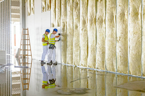 Best Professional Insulation Contractor  in Hebron, NE
